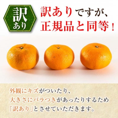 【年内発送】訳あり 西南のひかり 計5kg 希少