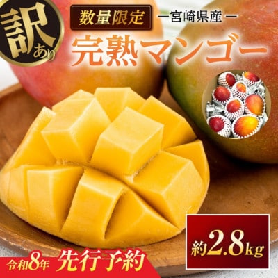 【期間限定】訳あり 宮崎県産 完熟マンゴー 約2.8kg