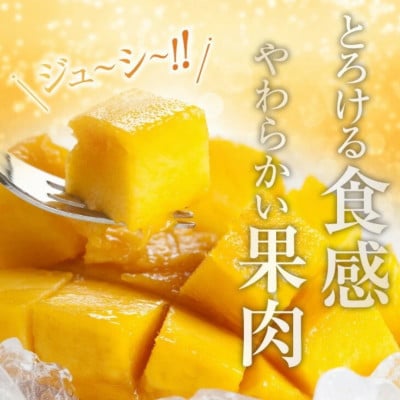 【期間限定】訳あり 宮崎県産 完熟マンゴー 約2.8kg