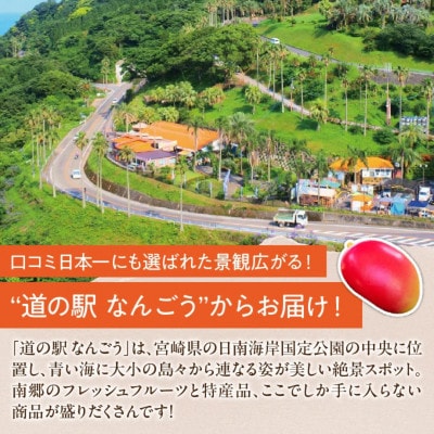 【期間限定】訳あり 宮崎県産 完熟マンゴー 約2.8kg