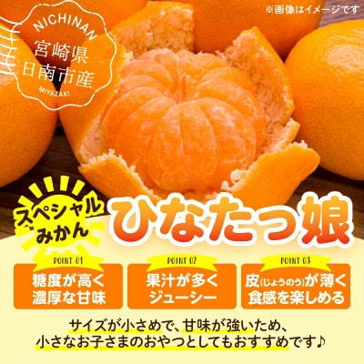 スペシャルみかん ひなたっ娘 計4.5kg 傷み補償分付き