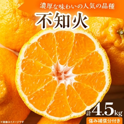 【先行予約】 不知火 計4.5kg 傷み補償分付き