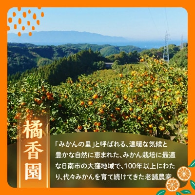 【先行予約】 不知火 計4.5kg 傷み補償分付き