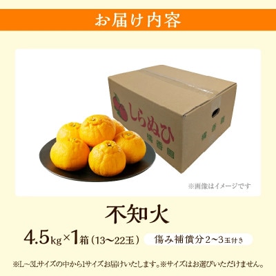 【先行予約】 不知火 計4.5kg 傷み補償分付き