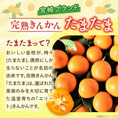 【先行予約】 数量限定 完熟きんかん たまたま 計 約1kg (約1kg×1箱)