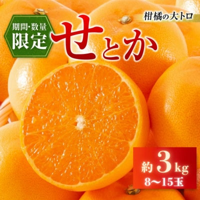 【先行予約】数量限定 柑橘の大トロ せとか 約3kg(化粧箱入り)