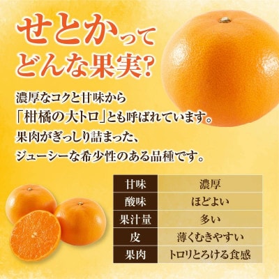 【先行予約】数量限定 柑橘の大トロ せとか 約3kg(化粧箱入り)