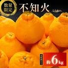【先行予約】数量限定 不知火 約6kg 化粧箱入り