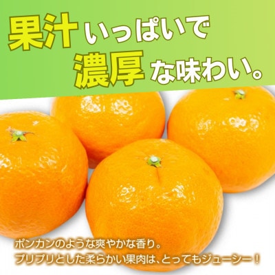 【先行予約】数量限定 津之輝 つのかがやき 約4kg(約2kg×2箱)