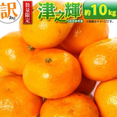 【先行予約】訳あり 数量限定 津之輝 つのかがやき 約10kg (約5kg×2箱)