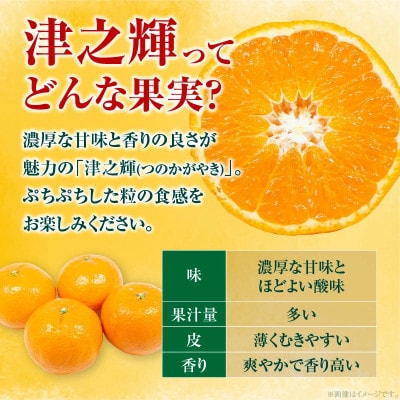 【先行予約】訳あり 数量限定 津之輝 つのかがやき 約10kg (約5kg×2箱)