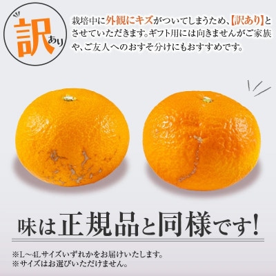 【先行予約】訳あり 数量限定 津之輝 つのかがやき 約10kg (約5kg×2箱)