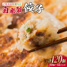 【戸村本店特製味付】自家製餃子計120個(10個&times;12パック)