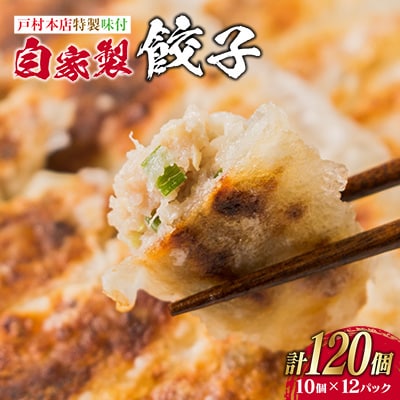 【戸村本店特製味付】自家製餃子計120個(10個×12パック)
