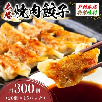 焼くだけ!!簡単調理!! 焼肉餃子 計300個 (20個入り×15パック)