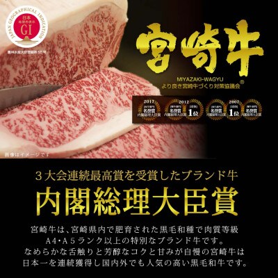 宮崎牛すじ1kg(500g×2)(日南市)