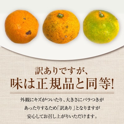 【期間・数量限定】訳あり 温州みかん 約5kg 傷み補償分入り