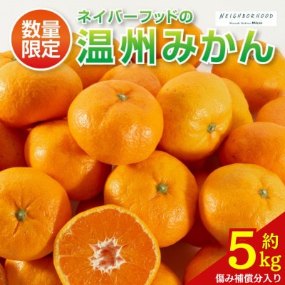 【期間・数量限定】温州みかん 約5kg 傷み補償分入り