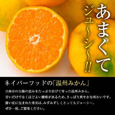 【期間・数量限定】温州みかん 約5kg 傷み補償分入り