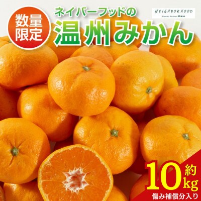 【期間・数量限定】温州みかん 約10kg 傷み補償分入り