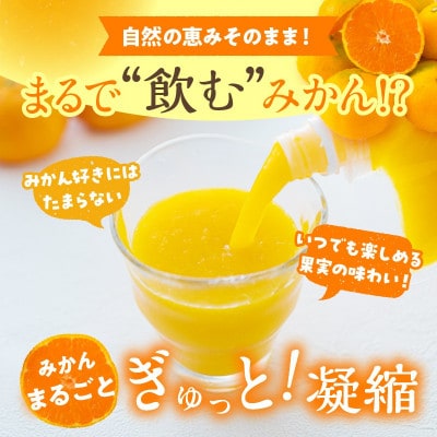 果汁 100% まる搾り みかん ジュース 220ml×8本 専用ギフトボックス入り