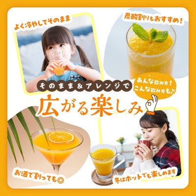 果汁 100% まる搾り みかん ジュース 220ml×20本