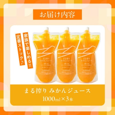 果汁 100% まる搾り みかん ジュース 1000ml×3本