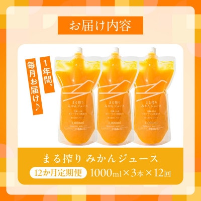 【毎月定期便】果汁100% まる搾り みかんジュース 1000ml×3本　お楽しみ定期便全12回
