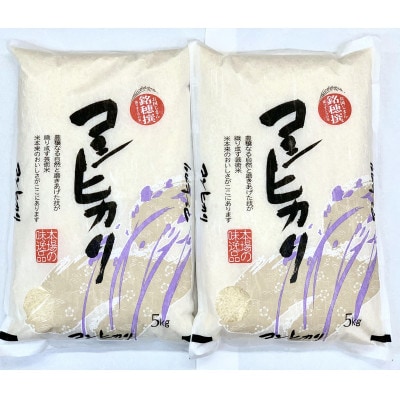 ≪数量限定≫令和4年産コシヒカリ計10kg(5kg×2袋)