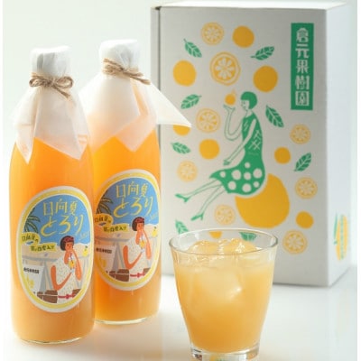 宮崎生まれ 日向夏とろり(濃縮タイプジュース)500ml2本セット
