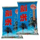 ≪数量限定≫新米コシヒカリ計10kg(5kg×2袋)
