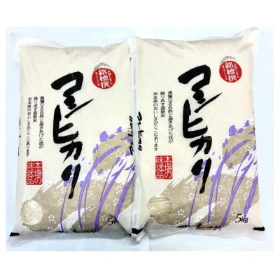 ≪数量限定≫コシヒカリ計10kg(5kg×2袋)