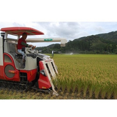 ≪数量限定≫令和8年産コシヒカリ5kg