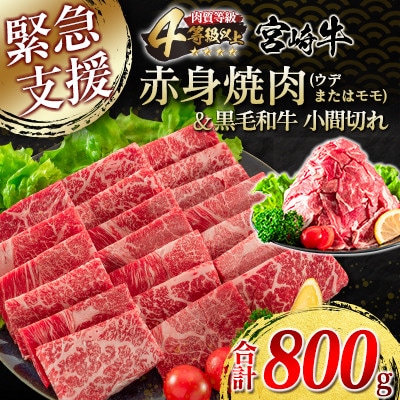 <肉質等級4等級以上>宮崎牛赤身焼肉(ウデまたはモモ)&黒毛和牛小間切れ