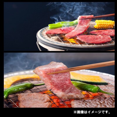 【2024年7月より順次発送】宮崎牛 A4～A5 カルビ 焼肉・バーベキュー用 500g(日南市)