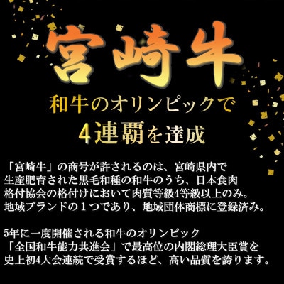 【2024年8月より順次発送】宮崎牛 A4～A5 カルビ 焼肉・バーベキュー用 500g(日南市)