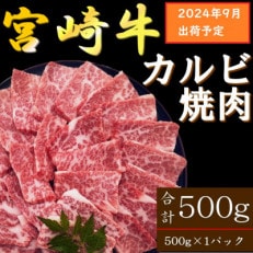 【2024年9月より順次発送】宮崎牛 A4～A5 カルビ 焼肉・バーベキュー用 500g(日南市)