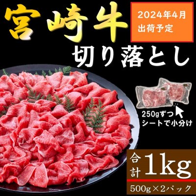 【2024年4月より順次発送】宮崎牛切り落としA4~A5 合計1kg(500g×2パック)(日南市)