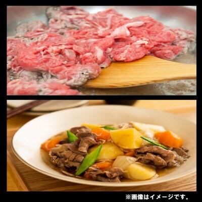 【2024年4月より順次発送】宮崎牛切り落としA4~A5 合計1kg(500g×2パック)(日南市)
