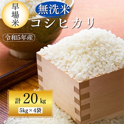 【期間限定・無洗米】コシヒカリ計20kg(5kg×4袋)