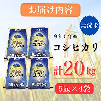 【期間限定・無洗米】コシヒカリ計20kg(5kg×4袋)