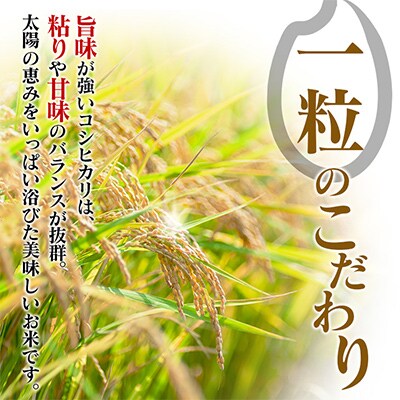 【期間限定・無洗米】コシヒカリ計20kg(5kg×4袋)