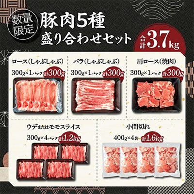 宮崎県産豚肉 5種 盛り合わせ セット 合計3.7kg(日南市)