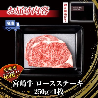 【生産者応援】宮崎牛ロースステーキ1枚　計250g(日南)