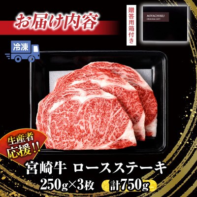 【生産者応援】宮崎牛 ロース ステーキ 3枚 計750g(日南)