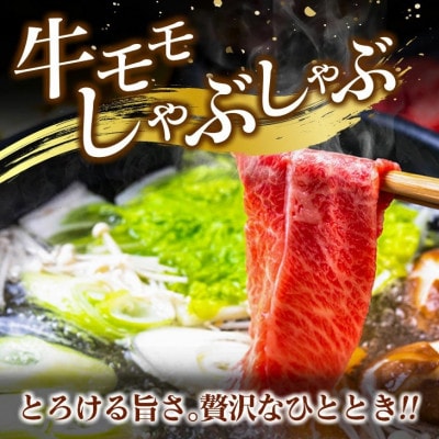 宮崎牛 モモスライス 500g(日南市)