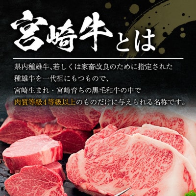 《肉質等級4等級以上》宮崎牛ローススライス(500g)(日南市)