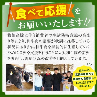 【生産者応援】宮崎牛 ロース スライス 600g(日南市)