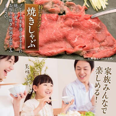 【生産者応援】宮崎牛 ロース スライス 600g(日南市)