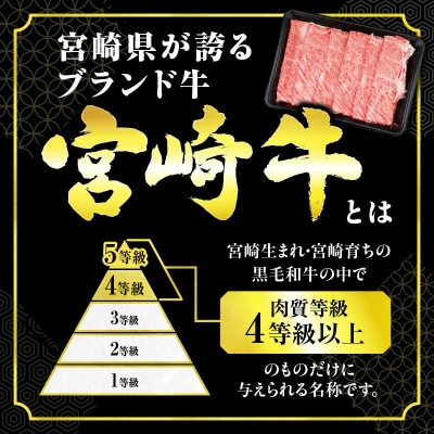 宮崎牛赤身スライス 計800g(日南市)